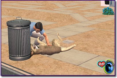 Sim petting Afghan Hound near garbage can on a desert lot.