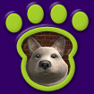Arctic Wolf thumbnail