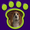 Basset Toy Tri-Colored thumbnail
