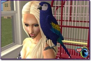 Sims 2 Birds