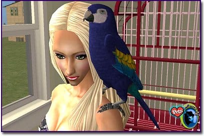 A blue parrot on a blond woman's shoulders.