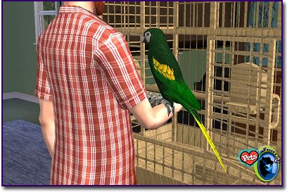 A green parrot on the arm of a man wearing a red and white plaid shirt.