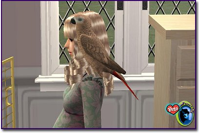 A tan parrot on a wavy-haired blonde with a grey sweater.