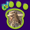 Tan Parrot (Bird 3)