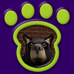 Black Bear thumbnail