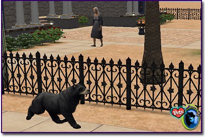 Black Bear running down sidewalk by iron fence