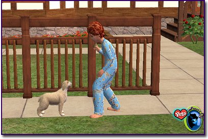 Cocker Spaniel - Blonde & White playing with little girl sim.