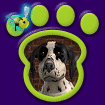 Dalmatian Alternate thumbnail for freebie