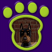 Doberman Toy Black & Tan thumbnail