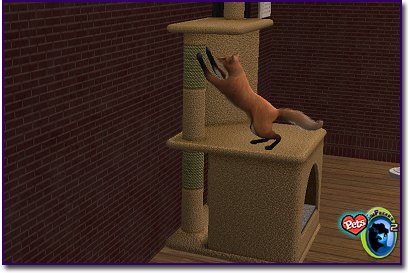 Fox-colored cat stretched upward with front paws on a tall cat tree indoors