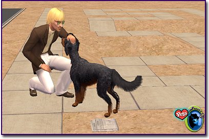 Gordon Setter getting smoochies from a sim.