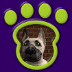 Great Dane - Harlequin thumbnail