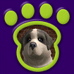 Great Pyrenees - Grey & White thumbnail