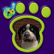 Mixed Breed - Huck thumbnail