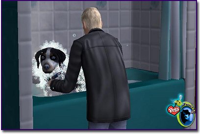 Mixed Breed - Huck getting a bath