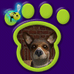 Mixed Small Dog - Sammy thumbnail