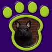 North American Wolf - Black thumbnail