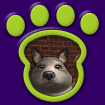 North American Wolf - Silver thumbnail