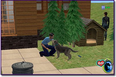 North American Wolf - Tan & Grey