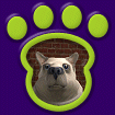 Polar Bear thumbnail