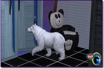 Polar Bear