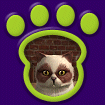 Red panda-patterned cat face inside a green pawprint icon
