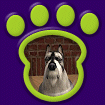 Schnauzer Toy - Smoke thumbnail