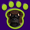Scottish Terrier - Black thumbnail