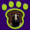 Skunk Dog thumbnail