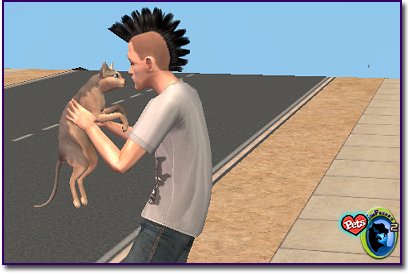 Hairless cat with markings standing near a person with a mohawk