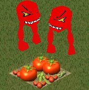 Guard Tomatoes
