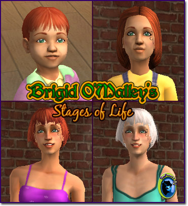 Brigid O'Malley's stages of life.