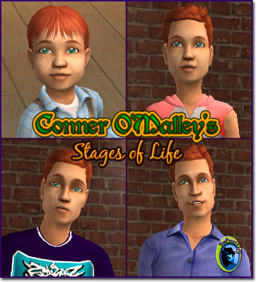 Conner O'Malley's stages of life.