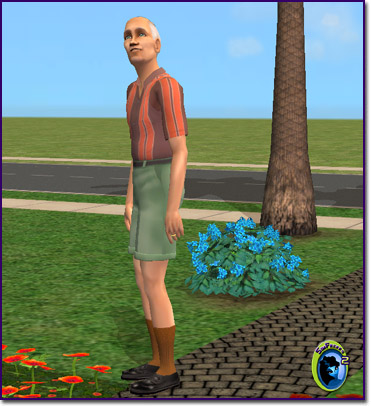 Seamus O'Malley, an elder maile sim with an orange striped shirt, green shots, knee-high brown socks and brown shoes standing in his yard.