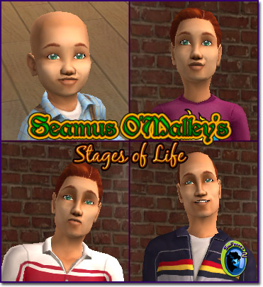 Seamus O'Malley's stages of life.