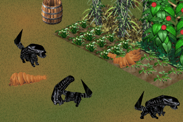 Cycle of Life Aliens