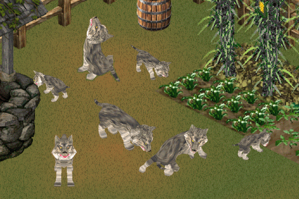 Cycle Of Life Timber Wolves