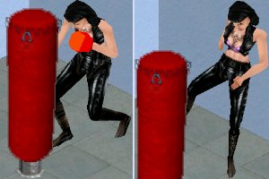 Punching Bag